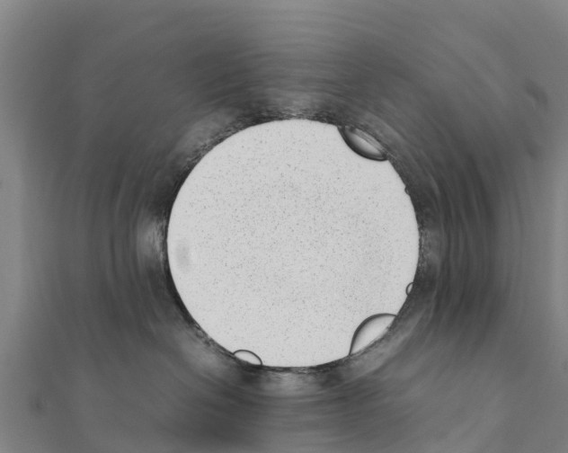 X0000111390286200908211408