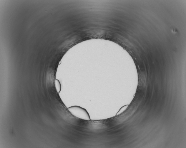 X0000111390287200908211408