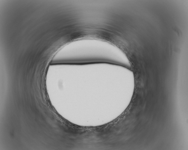 X0000111390289200908211408