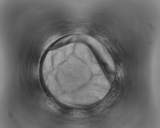X0000111390292200908211408