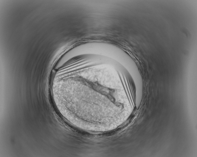 X0000111390293200908211408