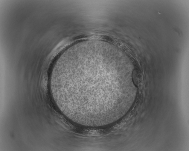 X0000111390295200908211408