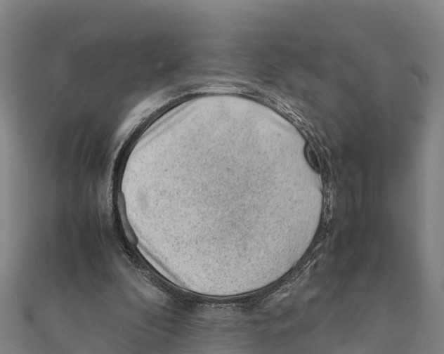 X0000111390296200908211408