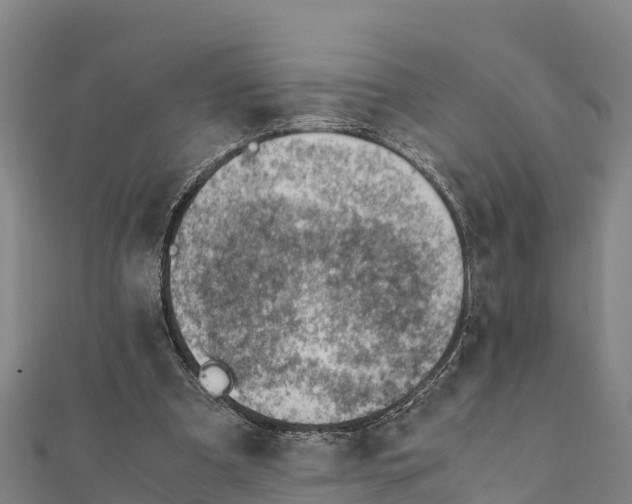X0000111390297200908211408