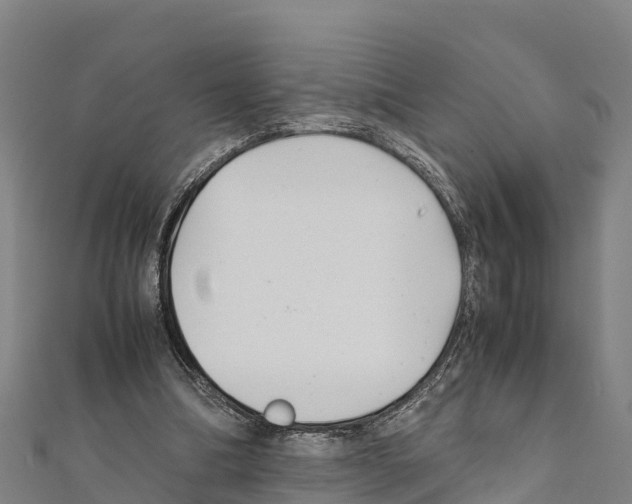 X0000111390298200908211408