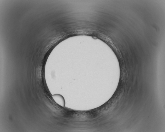 X0000111390299200908211408