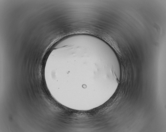 X0000111390300200908211408