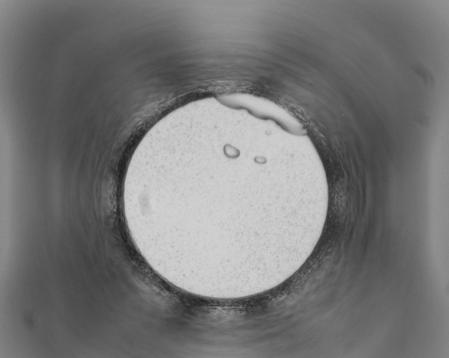X0000111390303200908211407