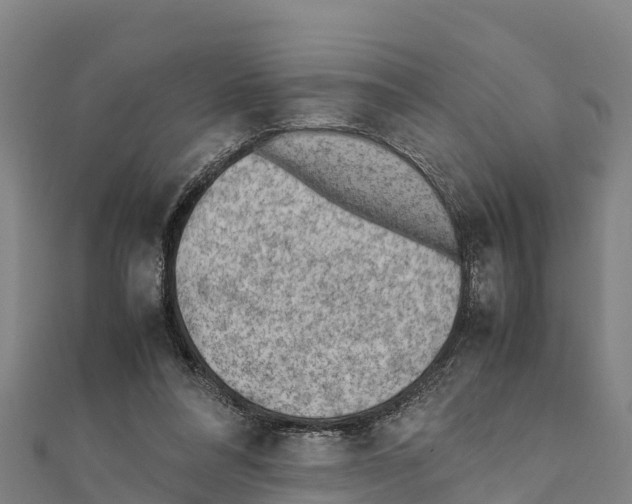X0000111390304200908211407