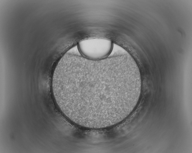 X0000111390305200908211407