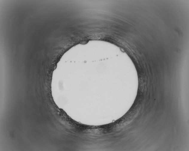 X0000111390307200908211407
