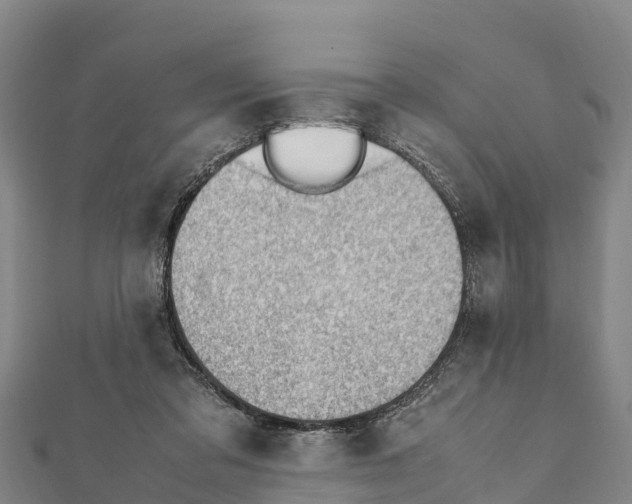 X0000111390309200908211407