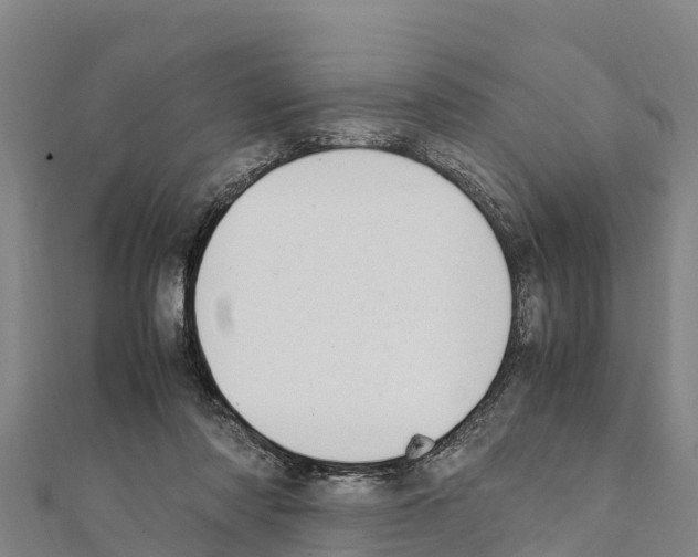 X0000111390310200908211407