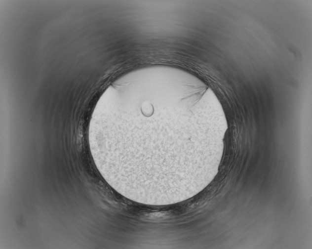 X0000111390312200908211407
