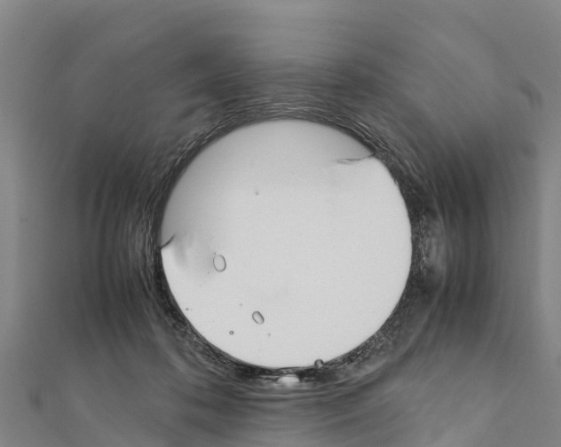 X0000111390316200908211407