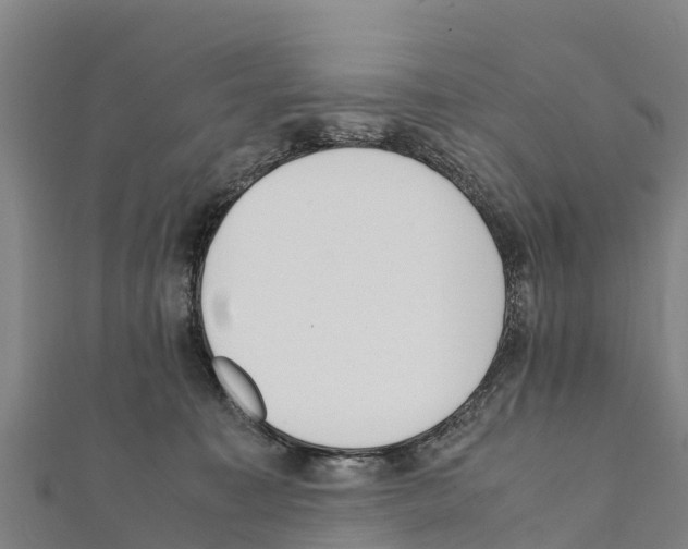 X0000111390323200908211407