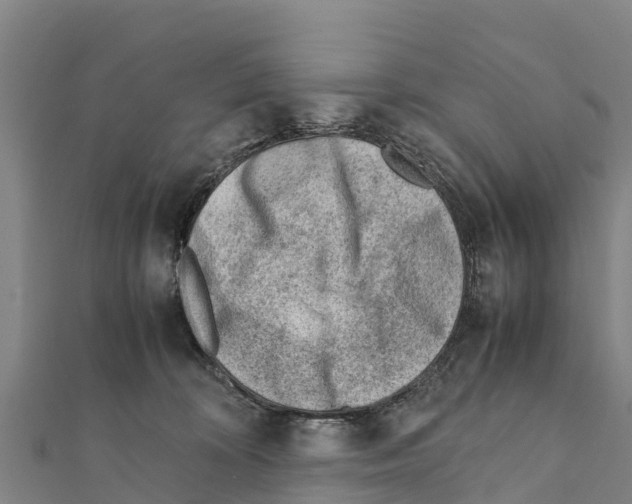 X0000111390324200908211407