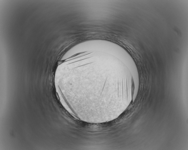 X0000111390325200908211407