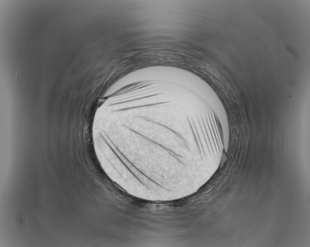 X0000111390327200908211407
