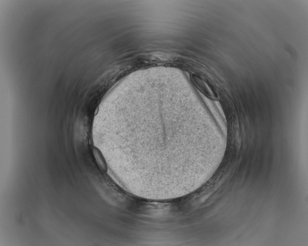 X0000111390328200908211407