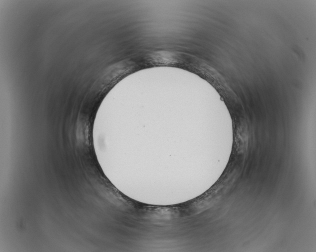 X0000111390330200908211407