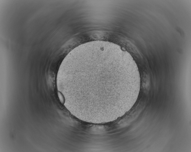 X0000111390332200908211407