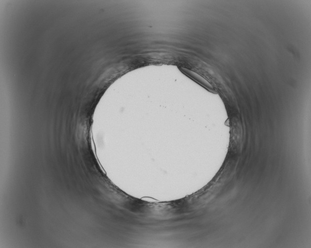 X0000111390333200908211407