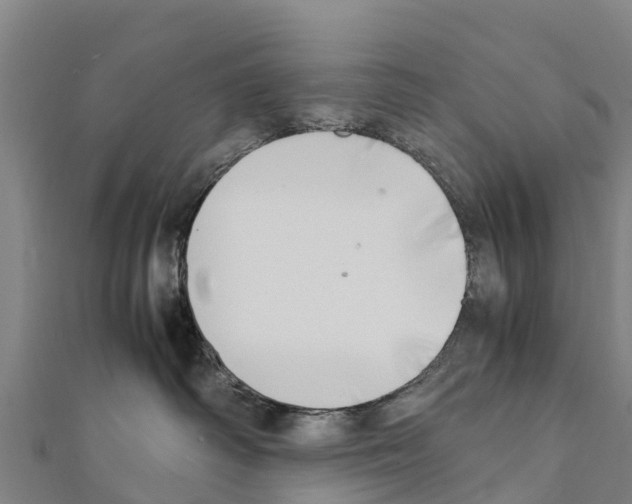 X0000111390334200908211407
