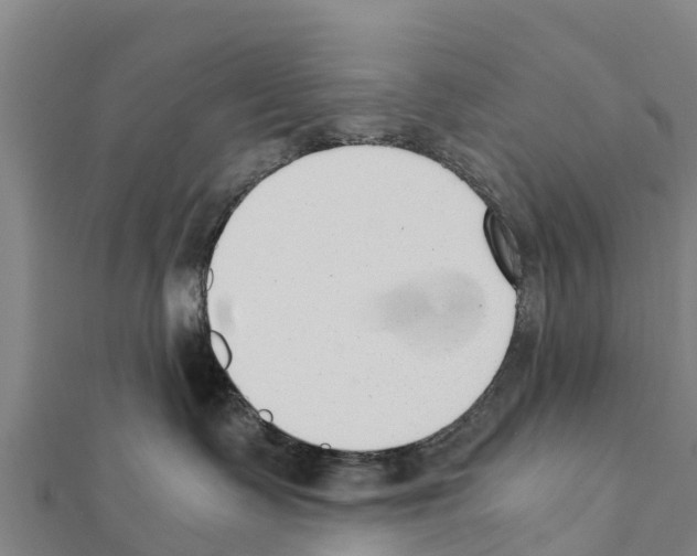 X0000111390335200908211407