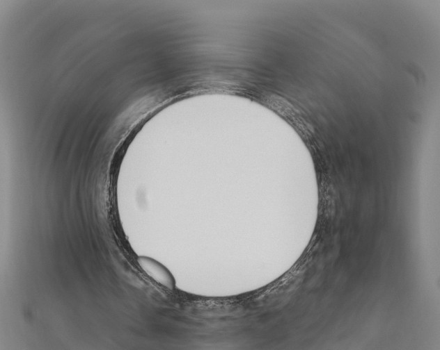X0000111390338200908211406