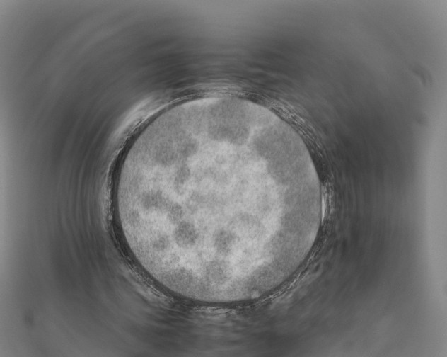 X0000111390339200908211406