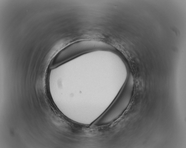 X0000111390340200908211406