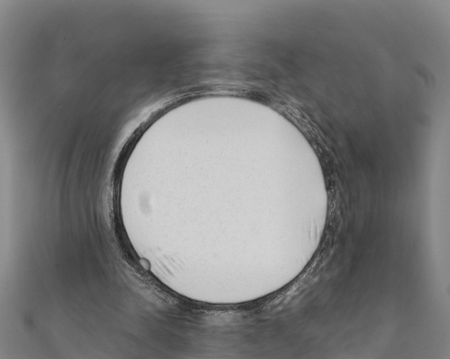 X0000111390342200908211406