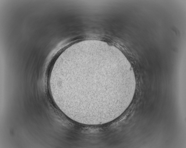 X0000111390343200908211406