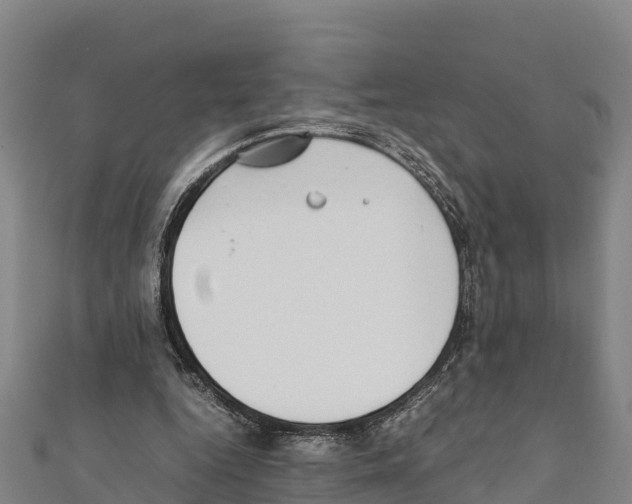X0000111390344200908211406