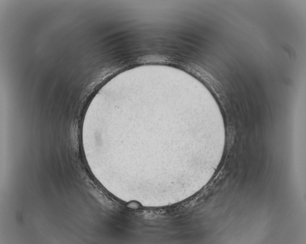 X0000111390345200908211406