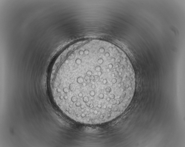 X0000111390346200908211406