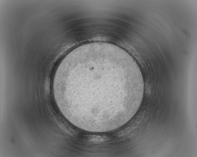 X0000111390347200908211406