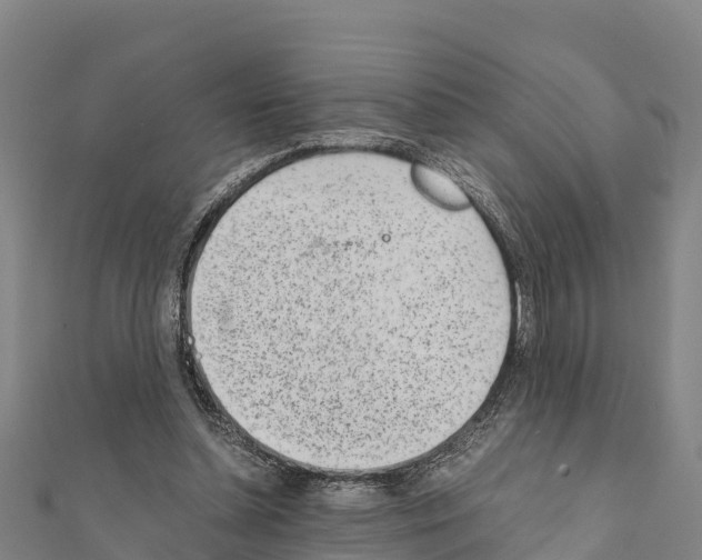 X0000111390348200908211406