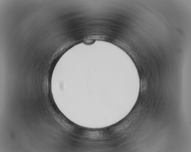 X0000111390349200908211407