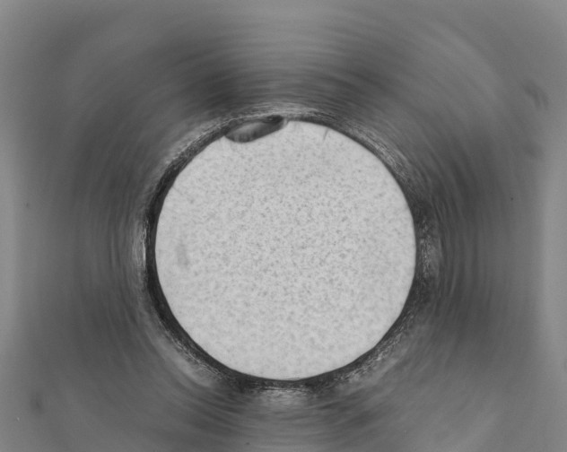 X0000111390350200908211407