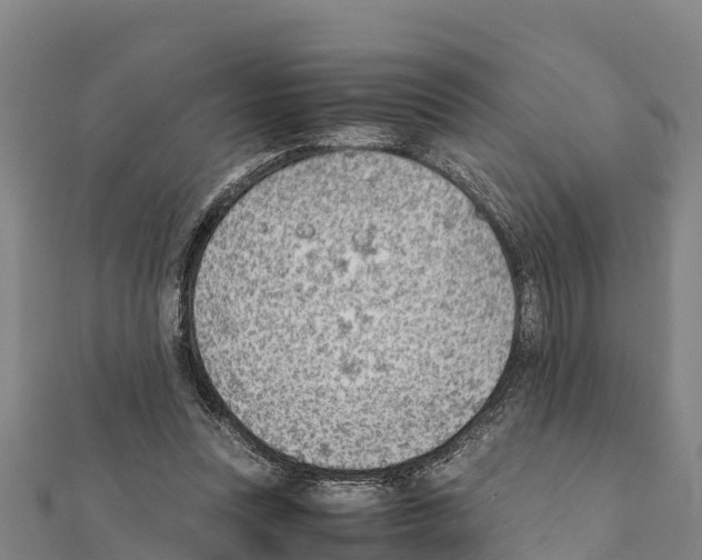 X0000111390351200908211407