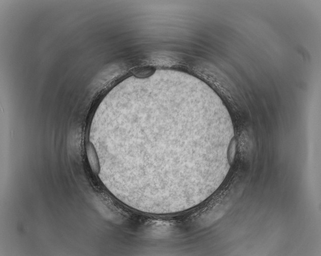 X0000111390352200908211407
