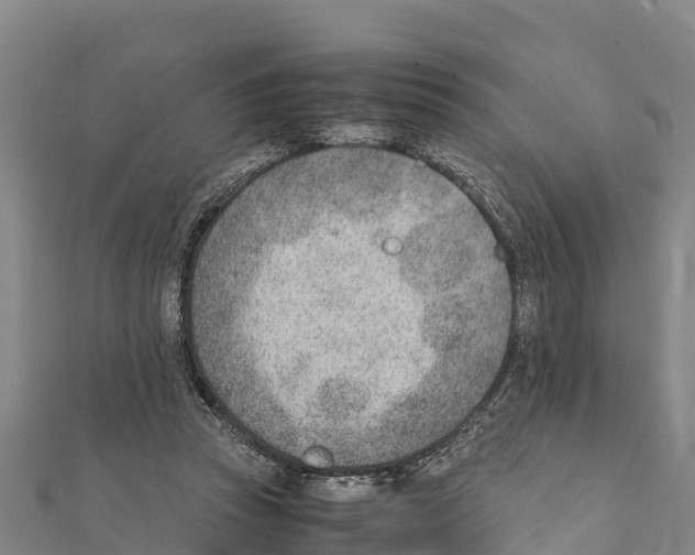 X0000111390353200908211407