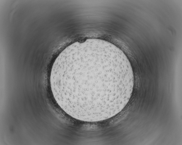X0000111390354200908211407