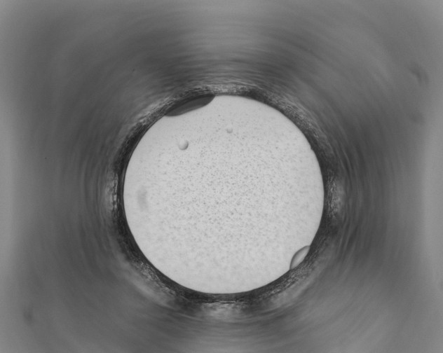 X0000111390356200908211407