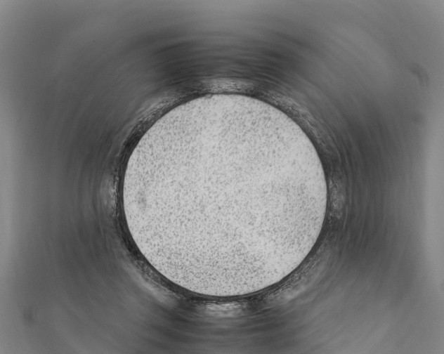 X0000111390357200908211407