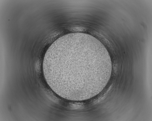 X0000111390359200908211407