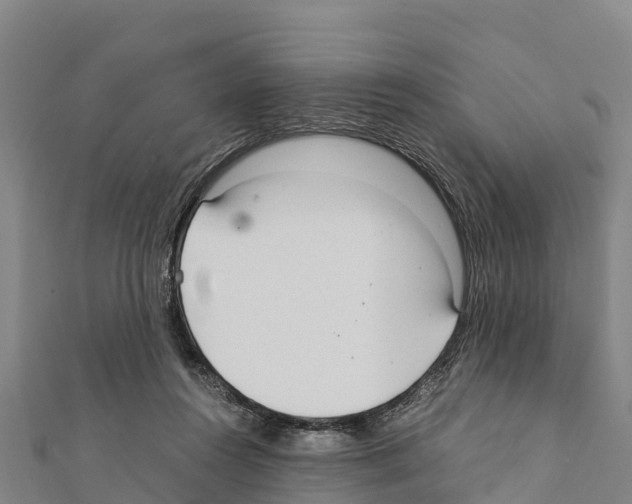 X0000111390360200908211407