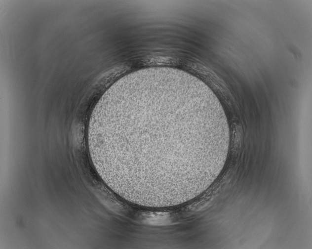 X0000111390361200908211407